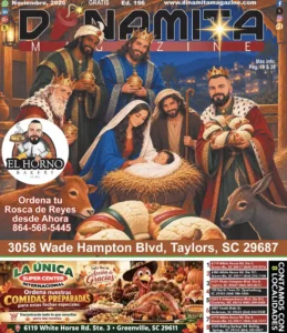 Portada196